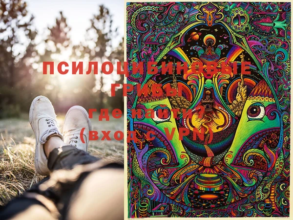 apvp Тихорецк