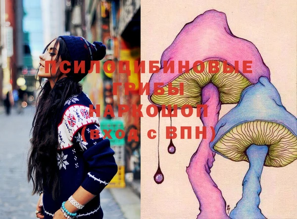 ECSTASY Тихвин
