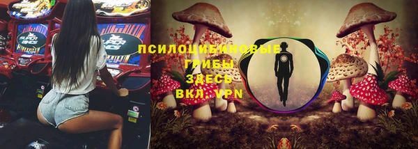 ECSTASY Тихвин