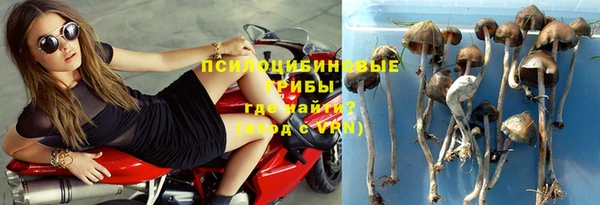 apvp Тихорецк
