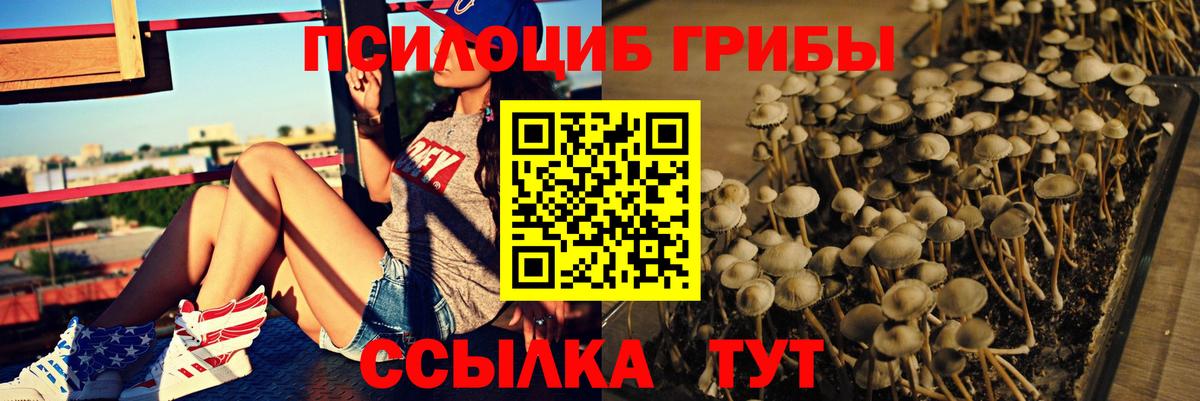 Удомля  Псилоцибиновые грибы прущие грибы  Вход с VPN  Галлюциногенные грибы Cubensis 